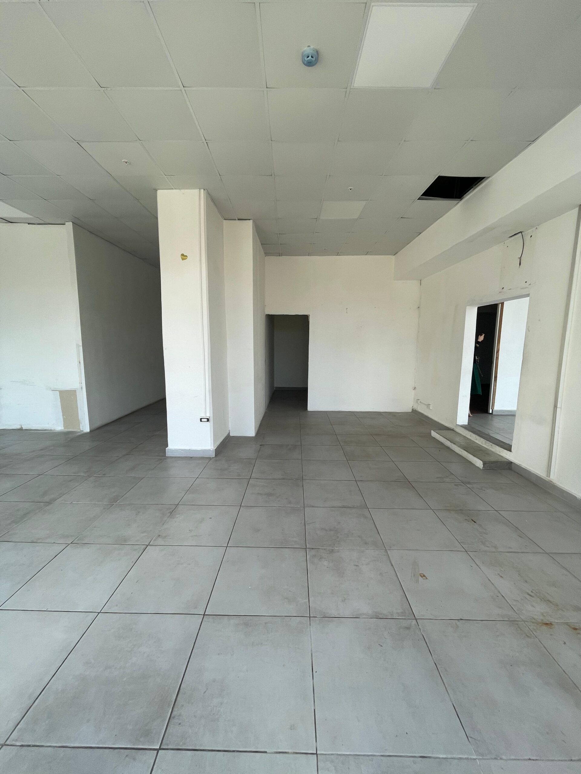 WhatsApp Image 2025-01-14 at 11.52.01 AM